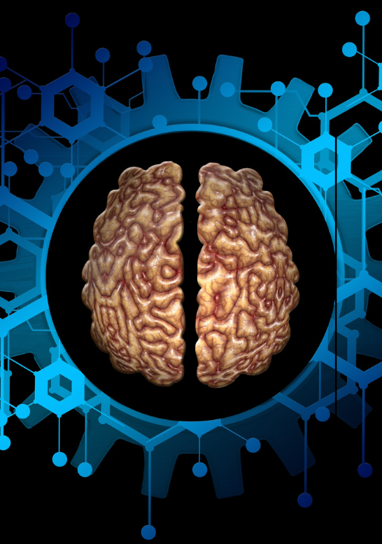 Brain and Tech