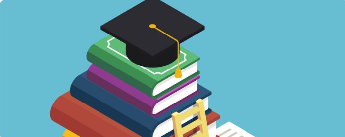 Curriculum & Content Development